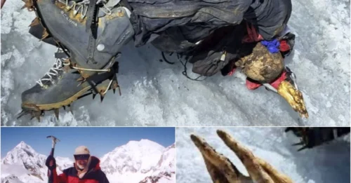 22-YEAR MYSTERY SOLVED: Perfectly Preserved Body of American Climber Found After Two Decades on Peru's 'Ghost of Huascarán' Mountain!