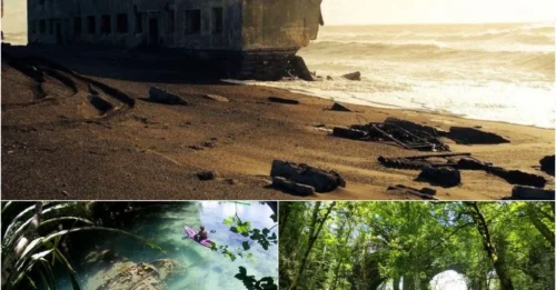 Nature Flexing Hard: 20 Mind-Blowing Moments That Even NASA Would Bow To!