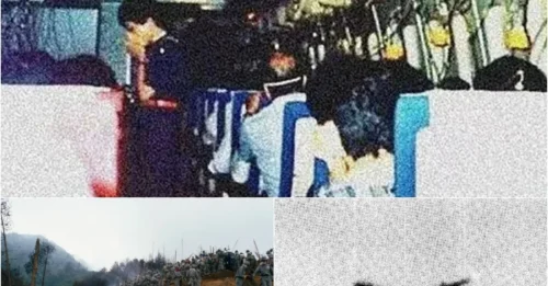 Shocking Photos of Japan Airlines Flight 123 Minutes Before Crash That Killed 520 – The Fatal Flaw Exposed