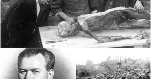 Stalin's Executioner's Dark Legacy: How Stalin's Favorite Killer Executed 7,000 Poles in Cold Blood