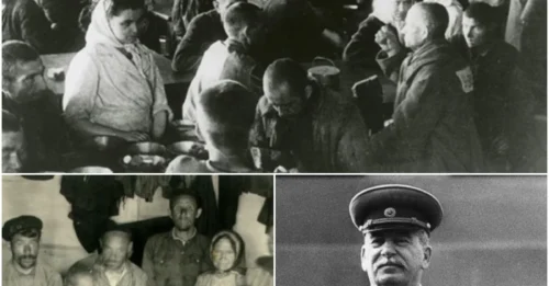Stalin’s Cannibal Island: The Gruesome Reality of Prisoners Eating Each Other to Survive