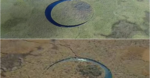 Argentina’s ‘Magic’ Island: Defying Physics by Floating and Spinning at Once!