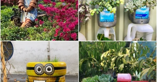 32 Creative Garden Decor Ideas to Elevate Your Outdoor Oasis