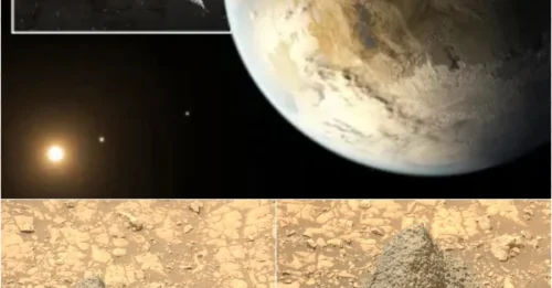 The Unbelievable Truth: NASA Captures Strange Object on Mars—Harry Potter Fans Are Stunned!