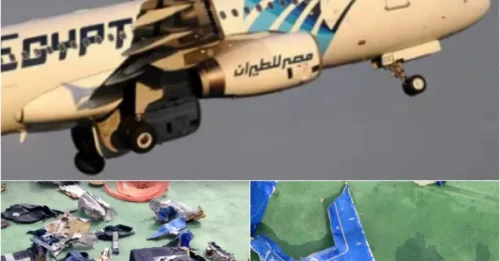 FIGHT FOR LIFE ON MS804: Black Box Exposes the Final Nightmare - A Race Against Time to Save the Doomed Jet!