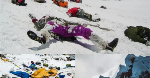 The Macabre Truth Behind Everest’s Romantic ‘Rainbow Valley’s: Climbers Who Never Return – Souls Forever Lost on the Mountain