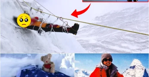 EVEREST'S COLDEST TRUTH: Why Hundreds Passed By 'Sleeping Beauty' Without Saving Her