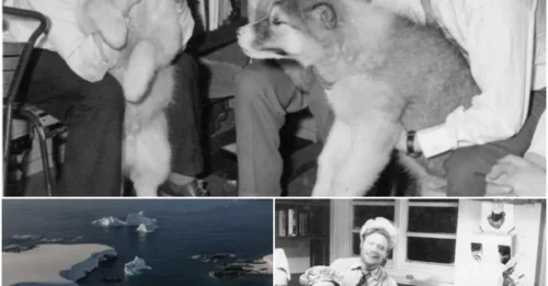 The Ice Gives Up Its Dead: Antarctic Thaw Reveals Tragic End of British Scientist After 66 Years