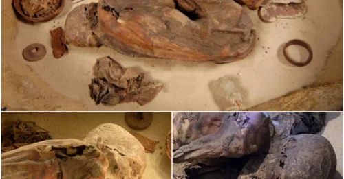 Scientists Stunned: This 5,600-Year-Old Mummy Just Exposed Egypt’s Earliest – And Most Disturbing – Embalming Practice!