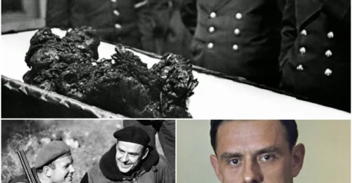Vladimir Komarov’s Horrific End:  Vladimir Komarov’s Final Moments as His Capsule Smashed into the Ground