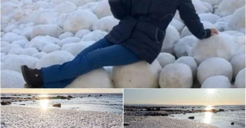Mysterious Phenomenon: Thousands of 'Ice Eggs' Suddenly Appear on Finnish Beach