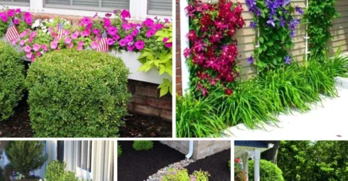 65 Cheap Simple Front Yard Landscaping Ideas