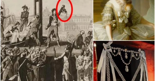 THE NECKLACE THAT KILLED A QUEEN: How a Diamond Necklace Became the Symbol of Marie Antoinette’s Tragic Fate!