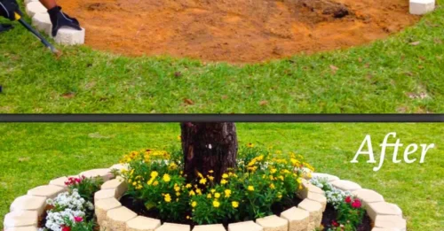 27 Vibrant Garden Designs to Add Life to Your Outdoor Areas