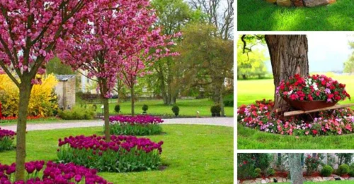 22 Beautiful Flower Beds Around Trees