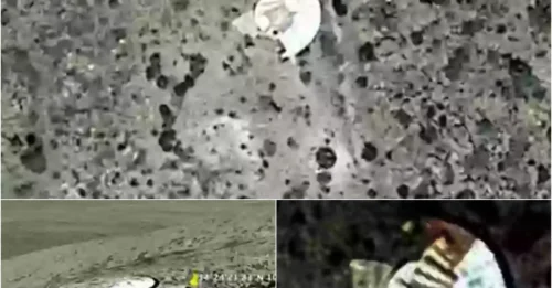 A Shocking Secret: The Exact Coordinates Where Google Maps Captured a UFO in Broad Daylight