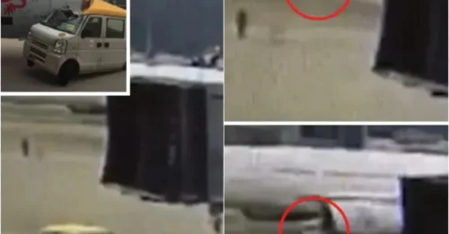 Horror on Runway: Plane Carrying 295 Passengers Smashes Into Van Just Before Takeoff!