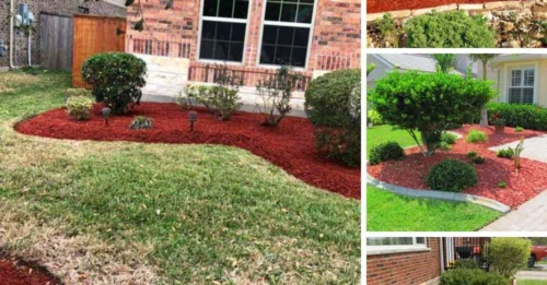 24 Beautiful Red Mulch Landscaping Ideas To Add More Color and Texture