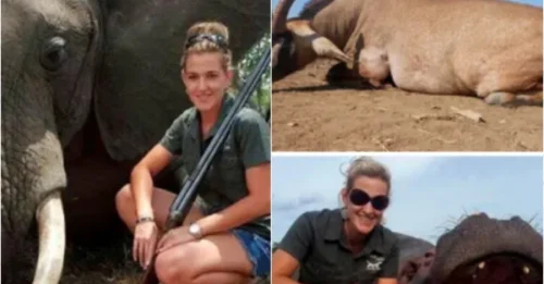 Mother Commits Atrocious Act: Proudly Poses with Elephant and Hippo Carcasses on Bloody Hunt