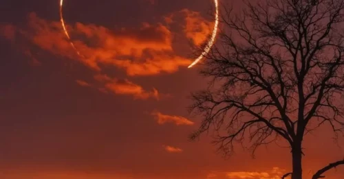 The Extremely Rare Halo Eclipse: A Celestial Masterpiece