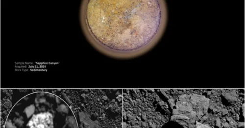 ALIEN LIFE PROOF? 'Leopard-Skin' Rocks Discovered, Sparking Extraterrestrial Frenzy