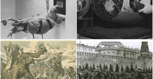 Beasts of Battle: The Chilling and Violent Conscription of Animals for Warfare Across Centuries.
