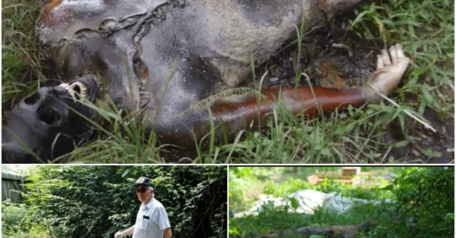 The Shocking Reality of 'Body Farms' Where the Dead Lie Exposed to the Elements.