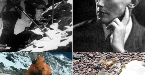75-YEAR-OLD EVEREST MYSTERY: Mallory's Frozen Corpse Reveals HORRIFYING Final Moments!
