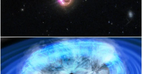 Universe Surprise: Black Hole 