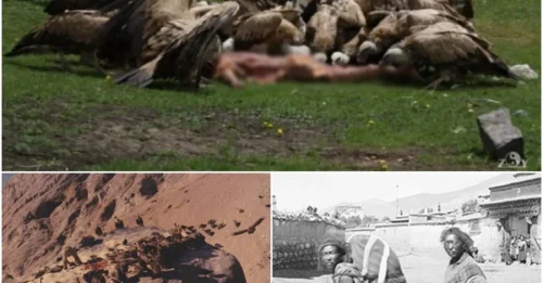 The Shocking Vulture Ceremony – How Tibetans Achieve Spiritual Liberation Through 
