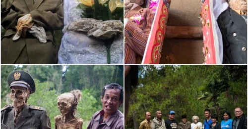 BEYOND THE GRAVE: Inside Indonesia's Most Bizarre Festival Where Corpses are Exhumed and Paraded.