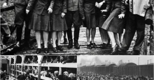 SMILES OF EVIL: The Horrifying Truth About This 'Normal' Photo of Auschwitz Guards