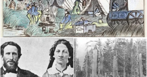 THE HORROR THEY CARRIED: The Chilling Aftermath of the Donner Party's 'Rescue'