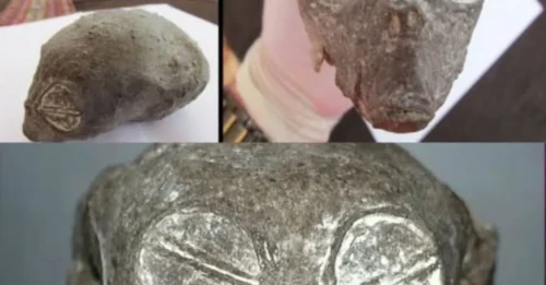An alien-looking skull was reportedly discovered in the Peruvian desert—its elongated shape and unusual features fueling theories of extraterrestrial origins: