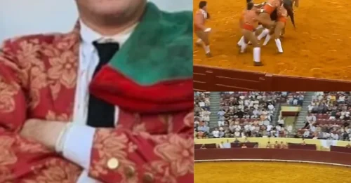 BREAKING NEWS: Renowned Portuguese bullfighter, 22, is killed by huge 1,500lbs bull in front of horrified crowd - and a fan ALSO dies while watching