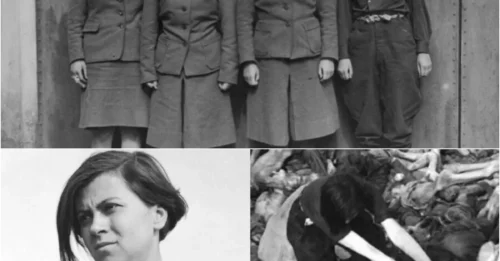 ANGEL OF DEATH: The HORRIFYING True Story of Anneliese Kohlmann's Bergen-Belsen Reign