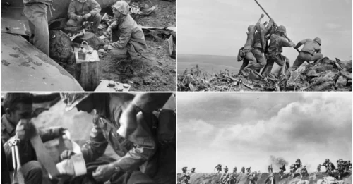 The Pacific's Meat Grinder: 28,000 Souls Vanish Into Iwo Jima's Volcanic Ash in 36 Days of Unrelenting Carnage.