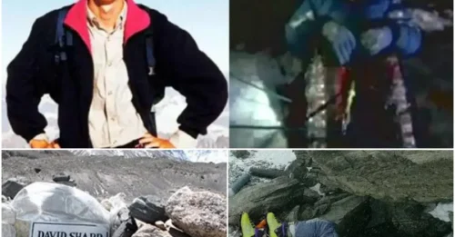 The Horrific Abandonment on the Roof of the World: Over forty People Witnessed David Sharp’s Agony in the Freezing Cold – And the Brutal Truth Behind Deadly Choices.