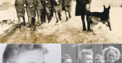 HELL'S ANGEL: The Chilling Story of Charlotte S - The Nazi Camp Guard Who Fed Prisoners to Dogs