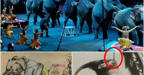 THE EXECUTION OF MURDEROUS MARY: The Shocking True Story of the Circus Elephant Publicly Hanged by a Frenzied Tennessee Mob.