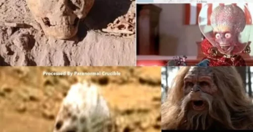 Amid Mars’s silent dust, a skull-shaped rock emerges in NASA’s images—prompting whispers: could Bigfoot’s cousin be watching from afar?