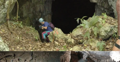 Something is not right in the Cave of Horrors: 10,000 skeletons lie there, yet not a single remain shows signs of ritual.