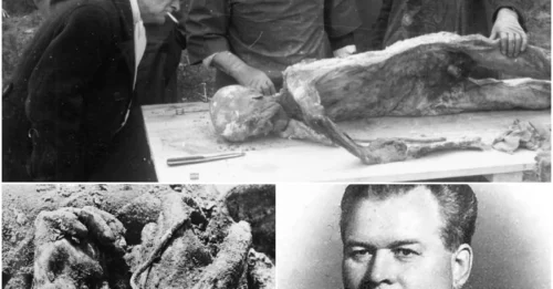 STALIN'S FAVORITE EXECUTIONER: The Chilling Personal Hand Behind the Massacre of 7,000 Poles at Katyn.