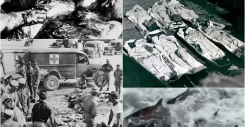12 MINUTES TO HELL: How 900 USS Indianapolis Sailors Became PREY in History's WORST Shark Attack