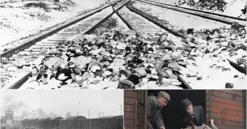 ANNE FRANK'S FINAL 6 MONTHS: The UNTOLD Horrors She Endured in Nazi Death Camps