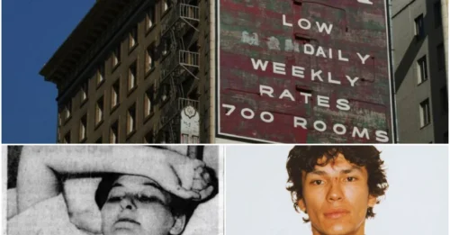 Urban Curse: Uncovering the chilling truth inside the Cecil Hotel, dubbed America's deadliest hotel with a series of murders and tragic accidents.