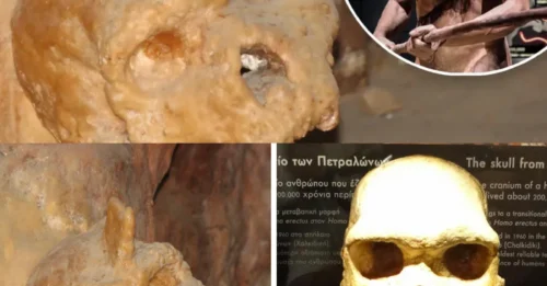 There's Something Wrong With This Skull: It Doesn't Belong Here, And It Doesn't Belong To Us.