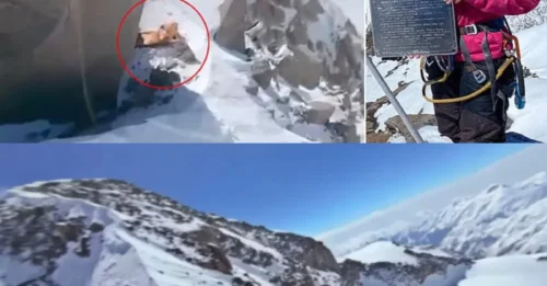 MY MOM IS UP THERE! Heartbroken Son's Tearful Plea After Climbers 'Left Her For Dead' On Icy Peak - He Insists She's Fighting For Life!