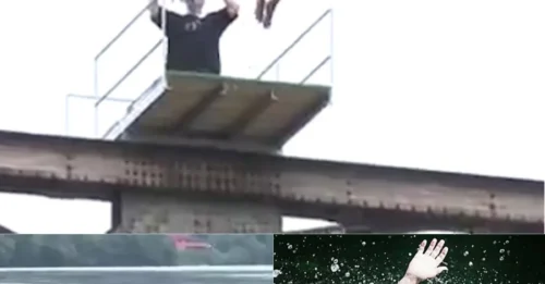 The jump was executed perfectly: Millions of live viewers waited, but the moment the athlete resurfaced... never came.