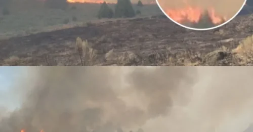 SECRET IN THE FLAMES: Woman who nearly suffocated reveals shocking photo of 'canvas ghost' amid sea of fire that consumed her property!